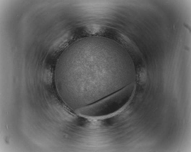 X0000103250558200808281506