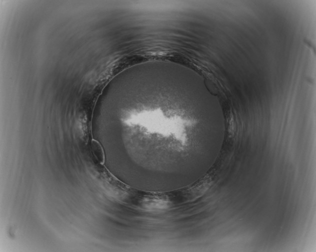 X0000103250559200808281506