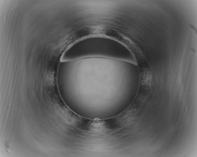 X0000103250560200808281506
