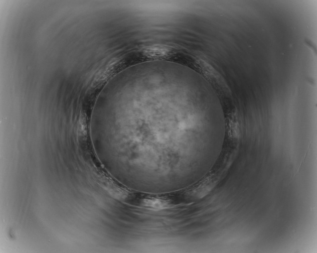 X0000103250561200808281506