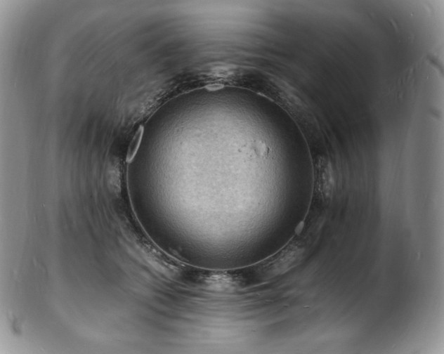 X0000103250562200808281506