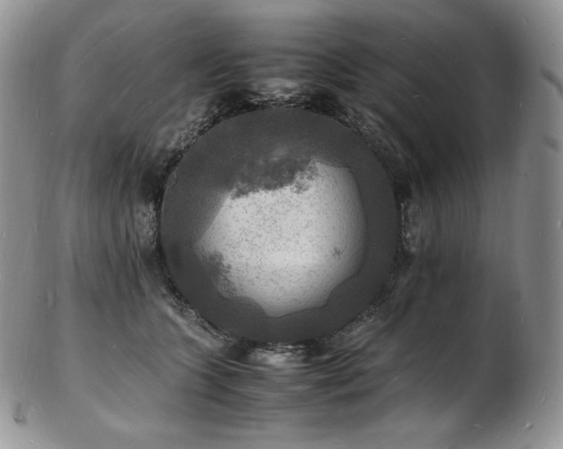 X0000103250563200808281506