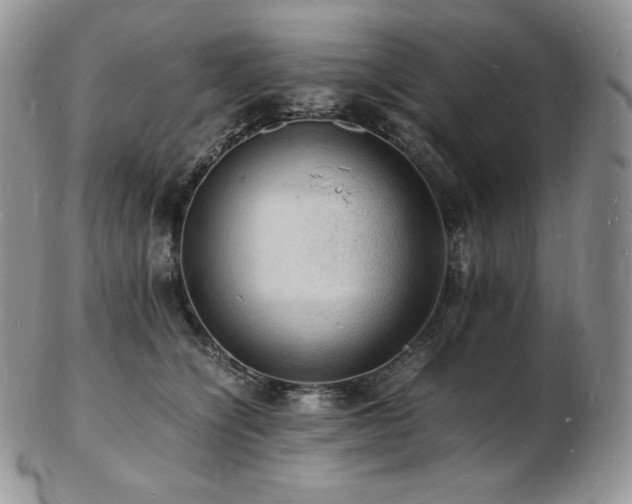X0000103250564200808281506