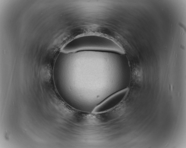 X0000103250566200808281506