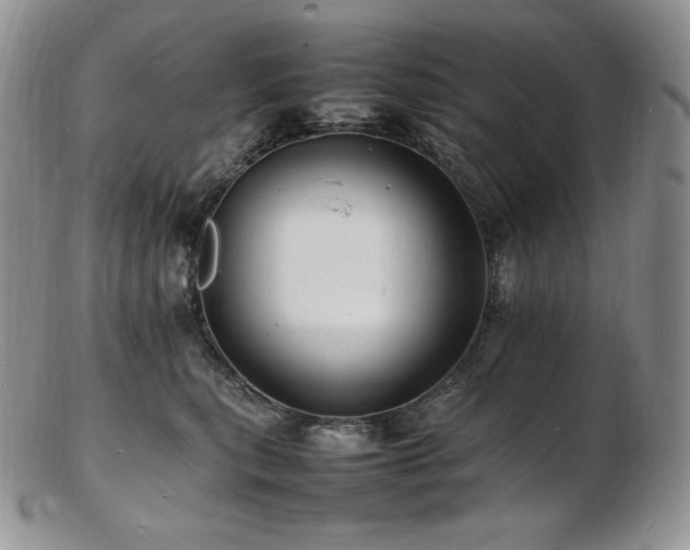 X0000103250567200808281506