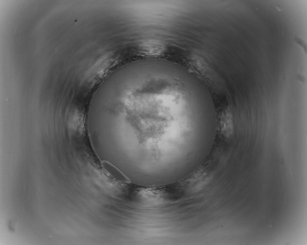 X0000103250568200808281506