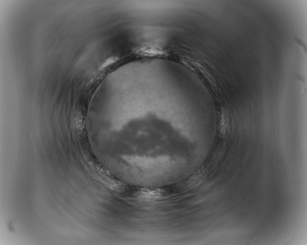 X0000103250569200808281506