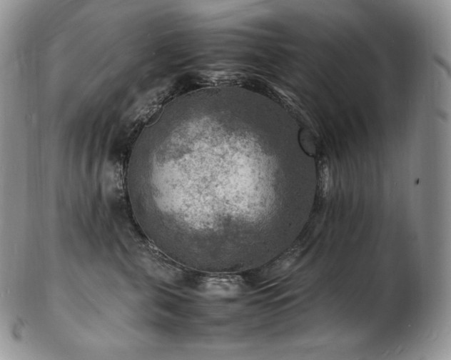 X0000103250571200808281506