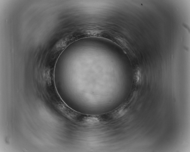 X0000103250572200808281506