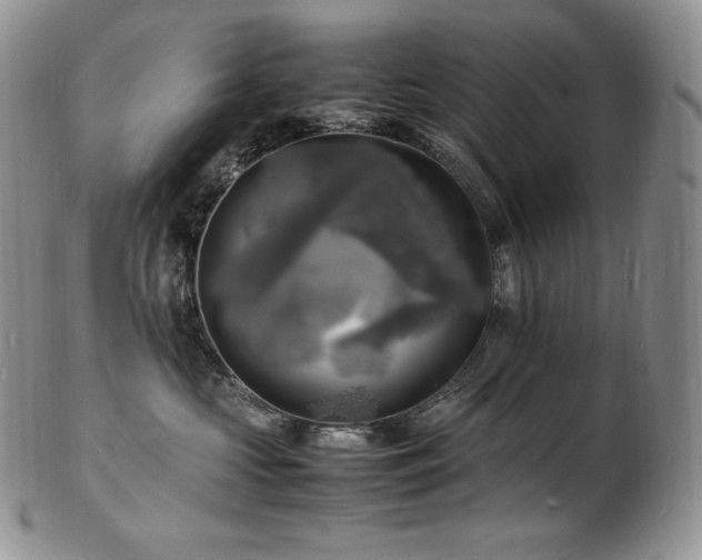 X0000103250573200808281506