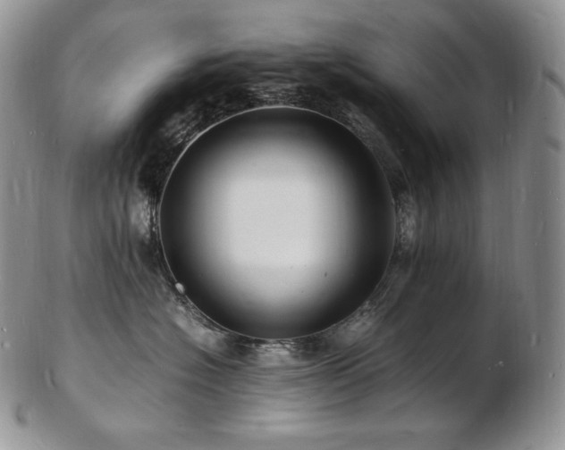 X0000103250574200808281506