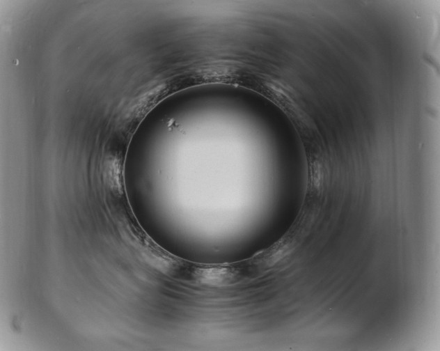 X0000103250575200808281506