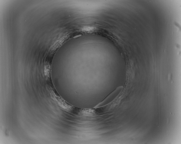 X0000103250576200808281506