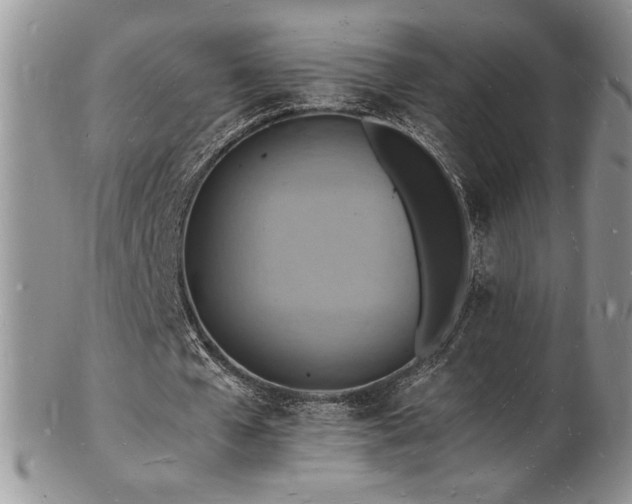 X0000103250577200808281506