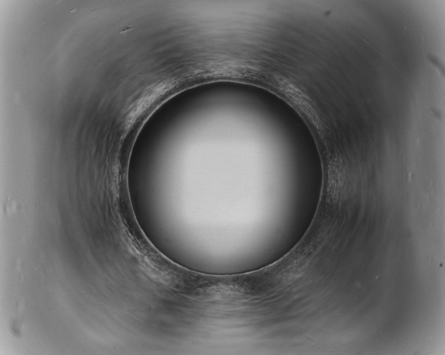 X0000103250578200808281506