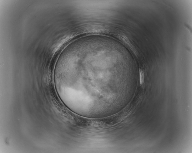 X0000103250579200808281506