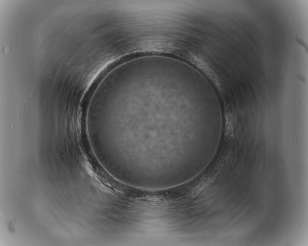 X0000103250580200808281505