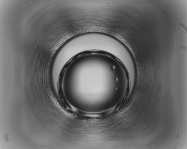 X0000103250581200808281505
