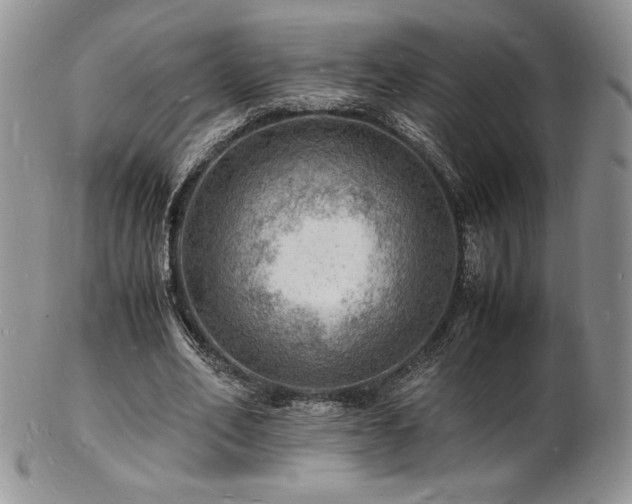 X0000103250582200808281505