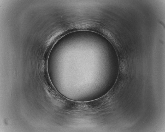 X0000103250583200808281505