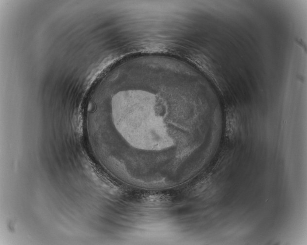 X0000103250584200808281505