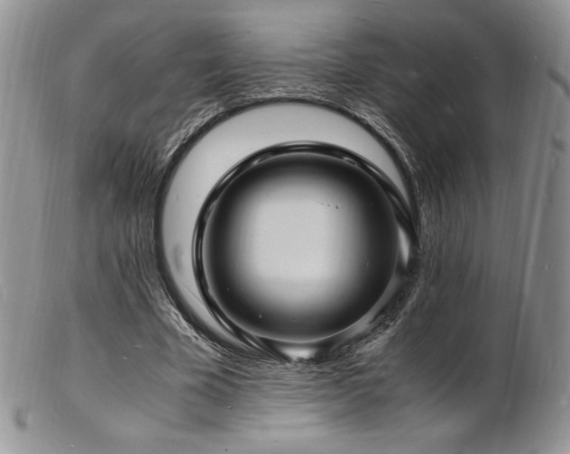 X0000103250585200808281505