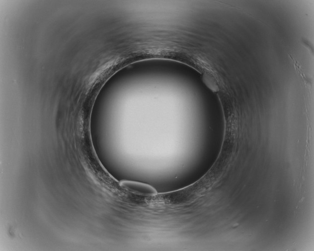 X0000103250587200808281505