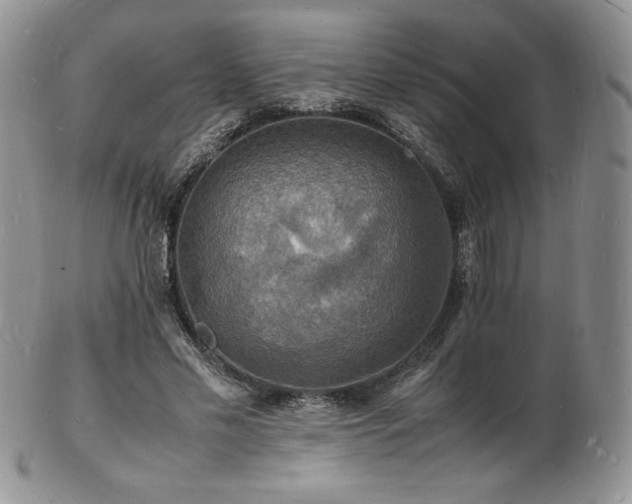 X0000103250589200808281505
