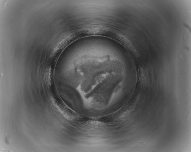X0000103250590200808281505