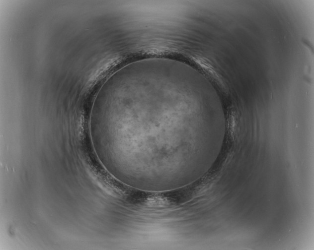 X0000103250591200808281505