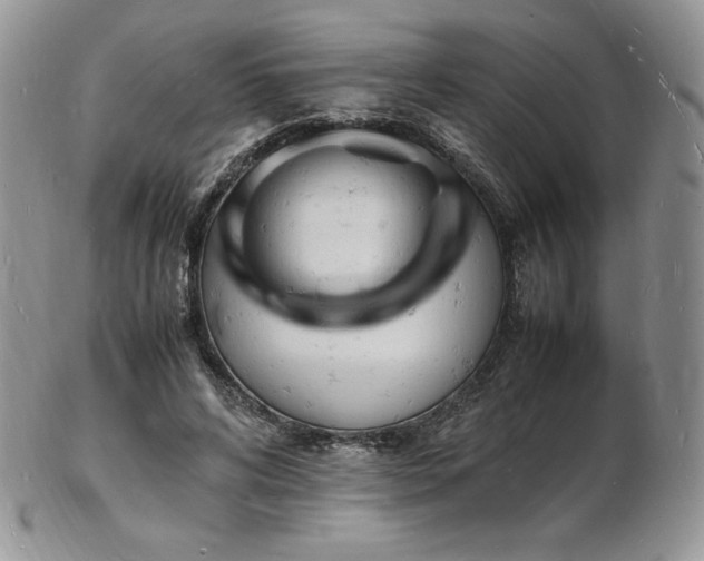 X0000103250592200808281505