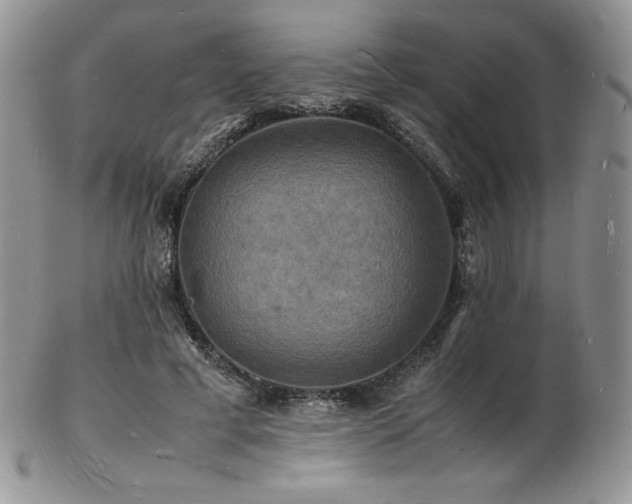 X0000103250593200808281505