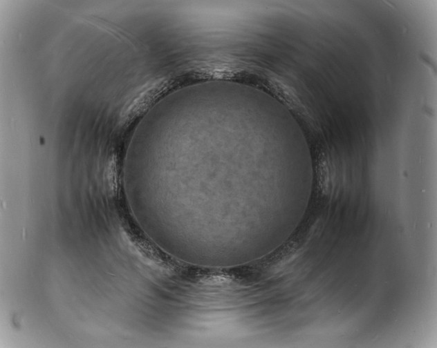 X0000103250594200808281505
