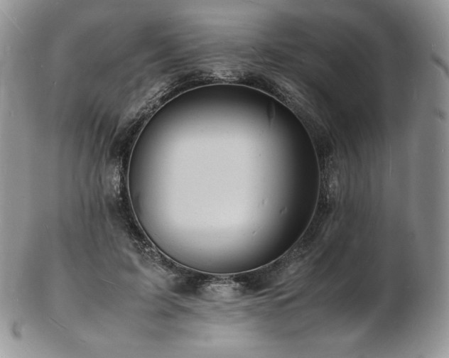 X0000103250595200808281505
