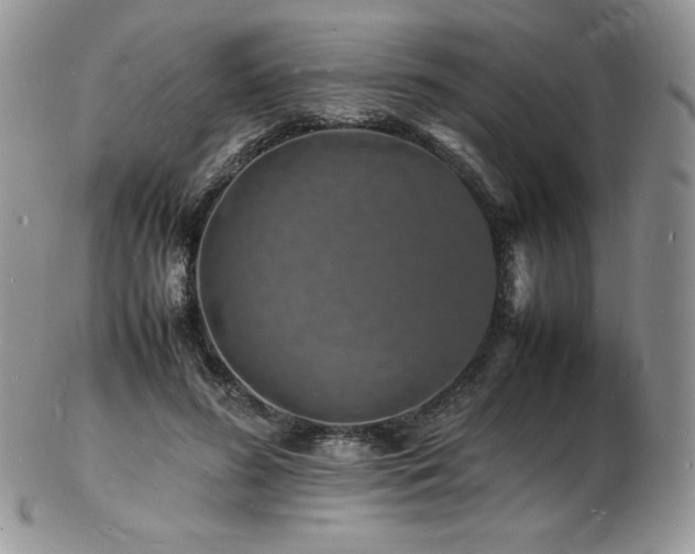 X0000103250596200808281505