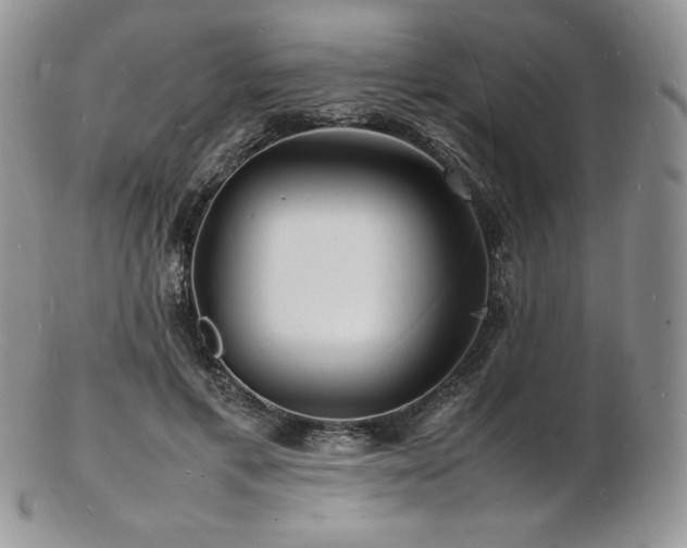 X0000103250597200808281505