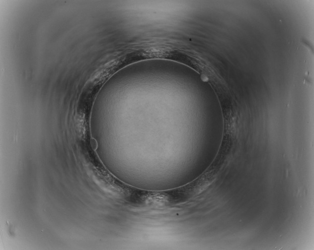 X0000103250599200808281505