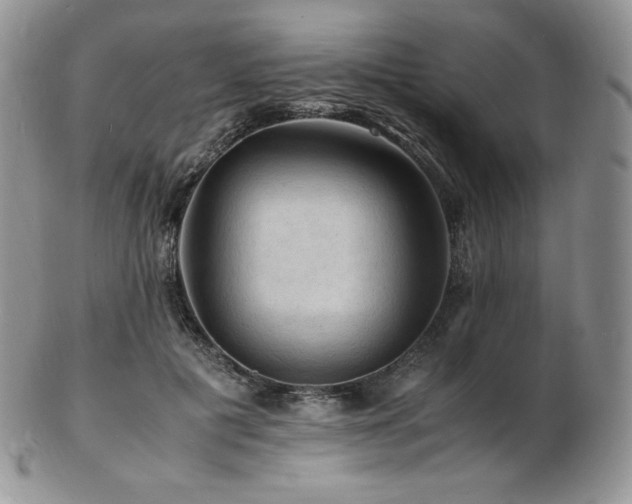 X0000103250601200808281505