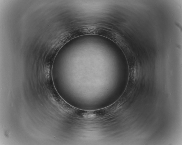 X0000103250602200808281505