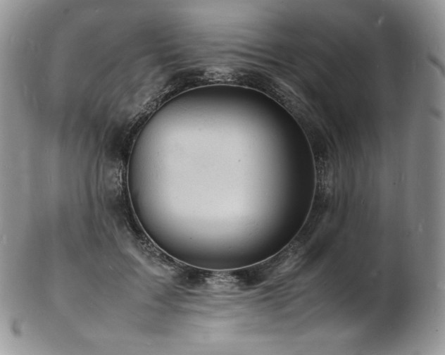 X0000103250603200808281505