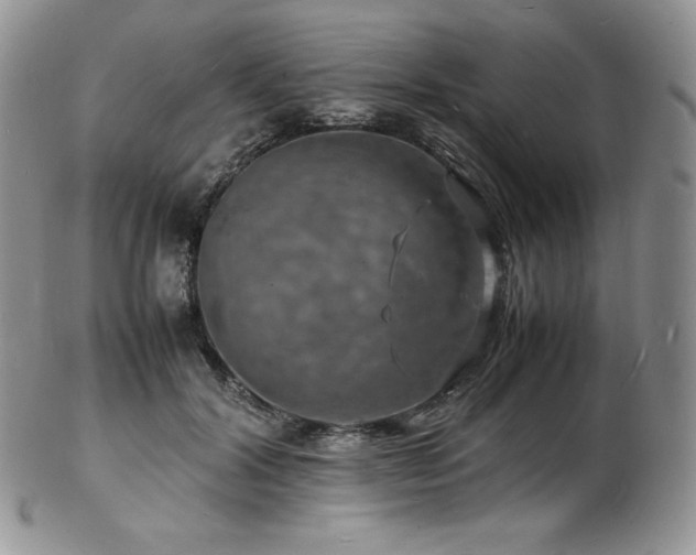 X0000103250604200808281505