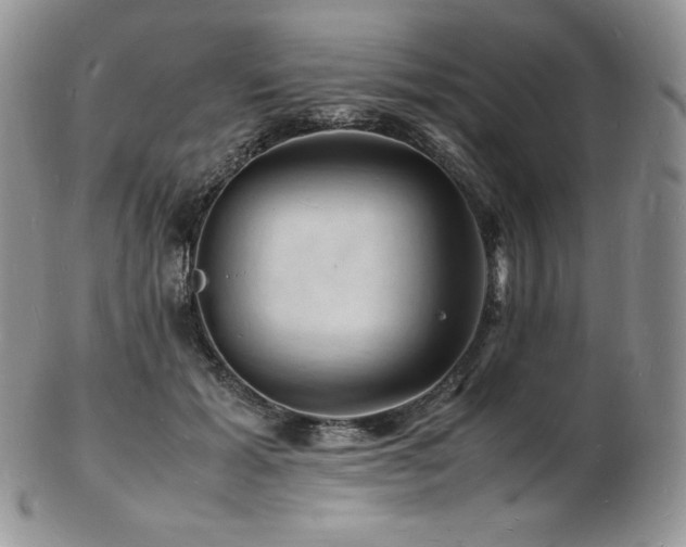 X0000103250605200808281505