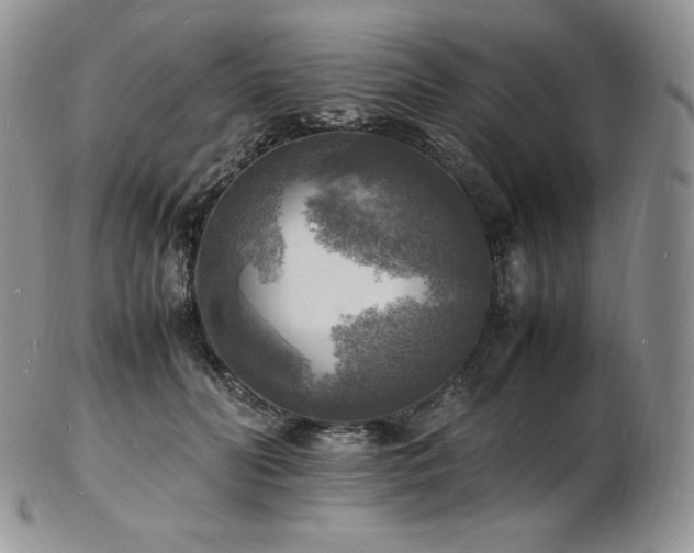 X0000103250606200808281505
