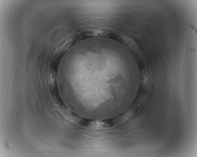 X0000103250607200808281505