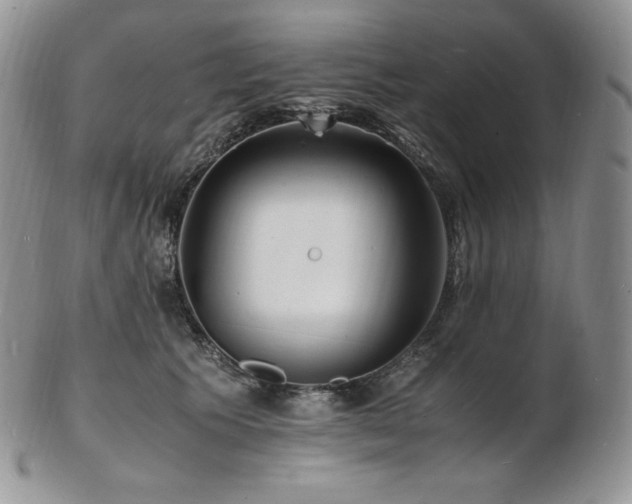 X0000103250609200808281505