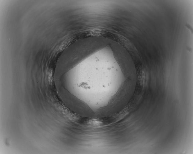 X0000103250610200808281505