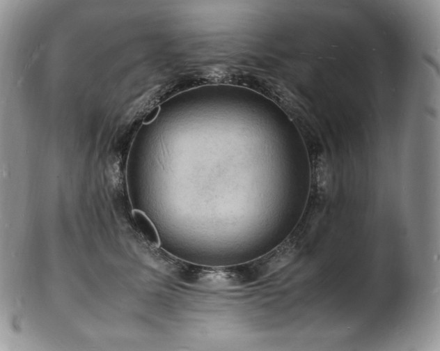 X0000103250611200808281505