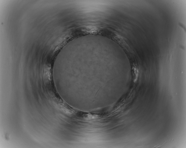 X0000103250612200808281505