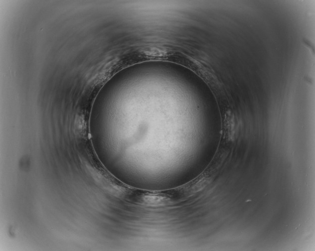 X0000103250614200808281505
