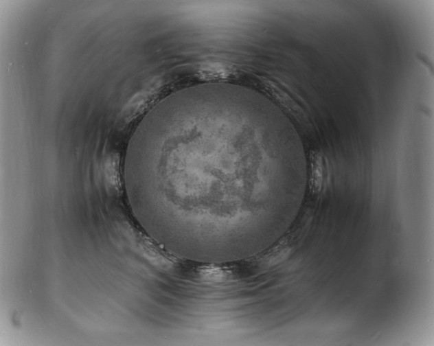 X0000103250616200808281505